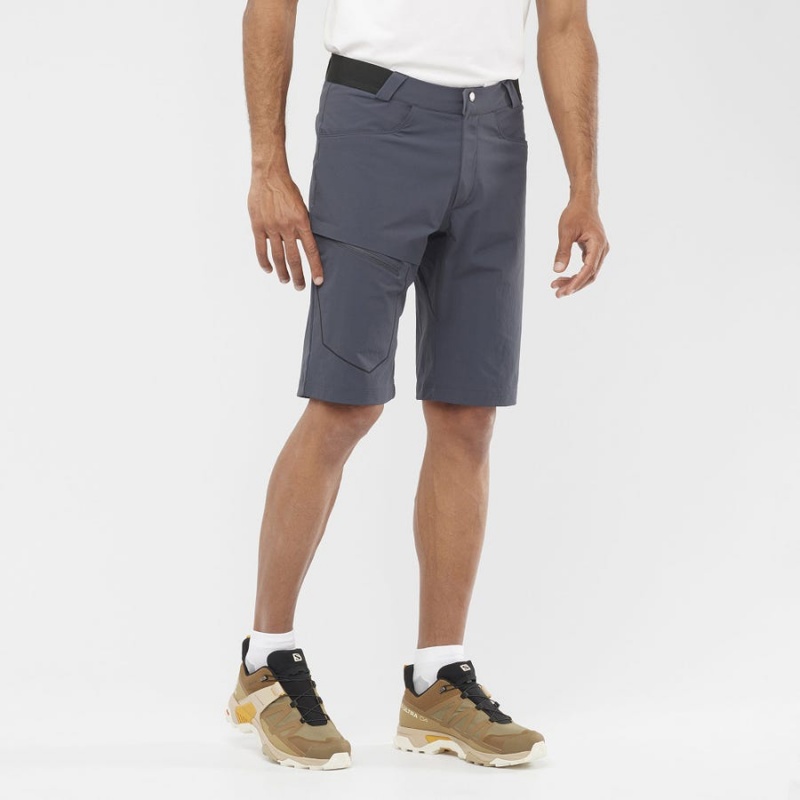 Short Salomon WAYFARER Hombre Gris | UY 3150WNB