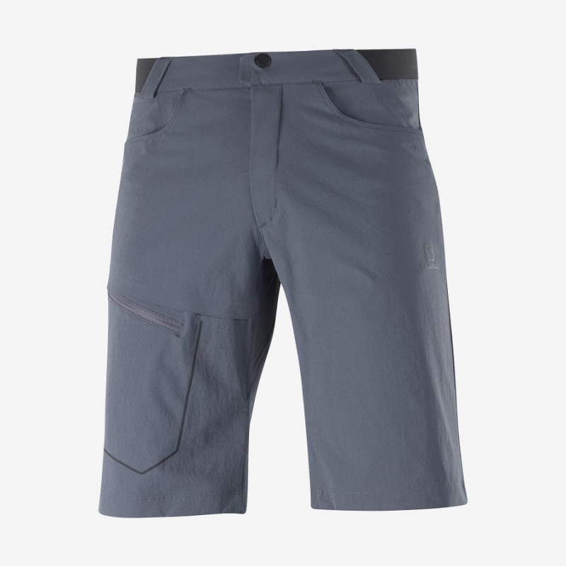 Short Salomon WAYFARER Hombre Gris | UY 3150WNB