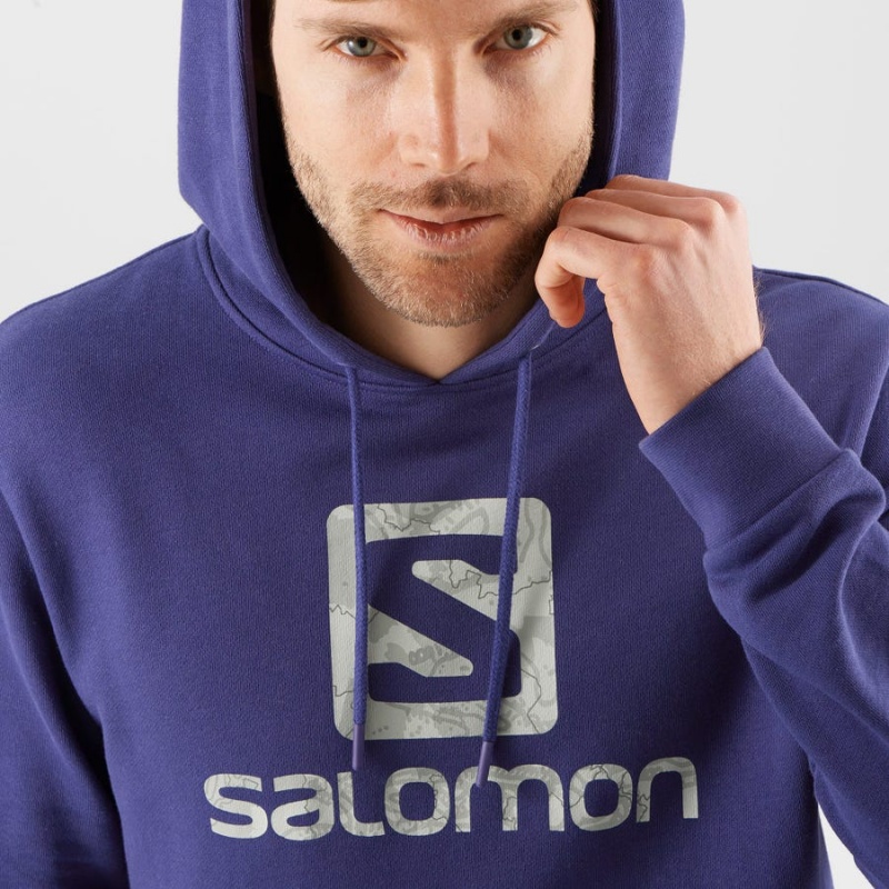 Sudadera con Capucha Salomon OUTLIFE LOGO SUMMER Mujer Moradas | UY 2538GSO