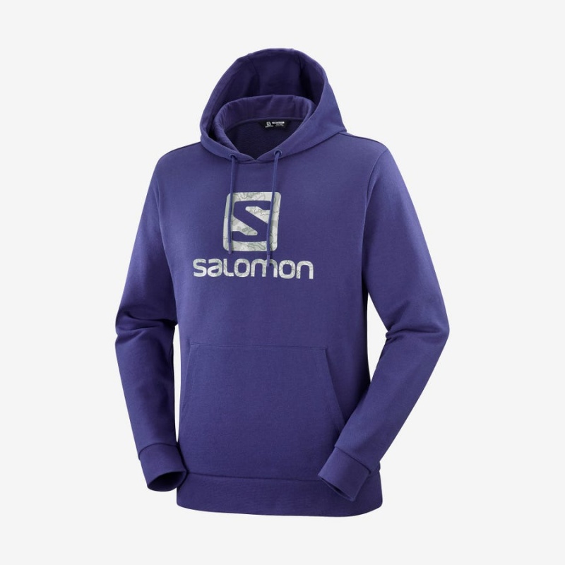 Sudadera con Capucha Salomon OUTLIFE LOGO SUMMER Mujer Moradas | UY 2538GSO