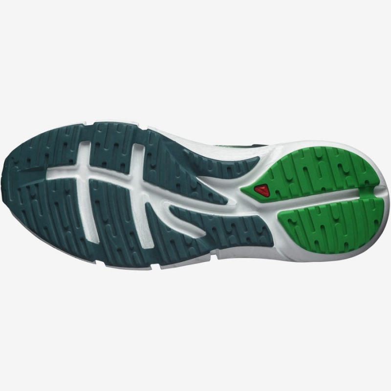 Zapatillas Running Salomon PREDICT 2 Hombre Verde Oliva | UY 3469JPQ