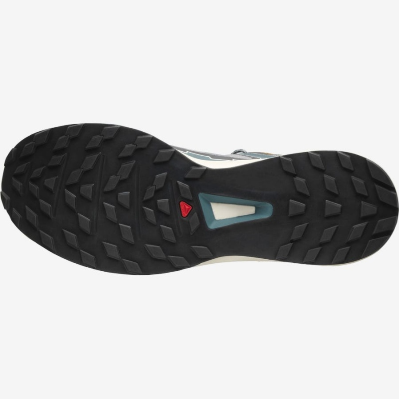 Zapatillas Salomon ULTRA RAID Hombre Gris Plateadas | UY 3403XYU