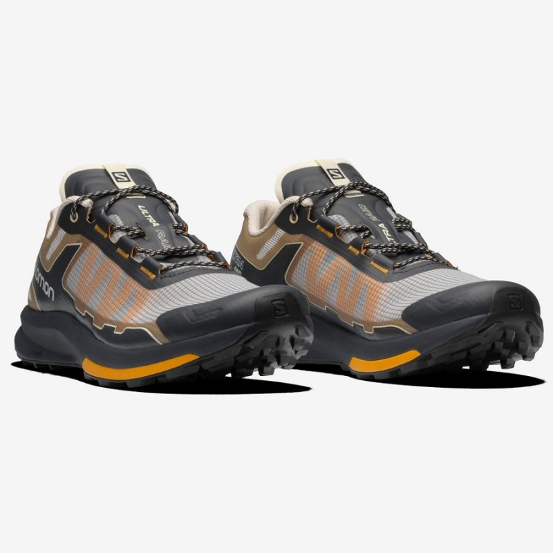 Zapatillas Salomon ULTRA RAID Hombre Marrones Plateadas | UY 3405VRW