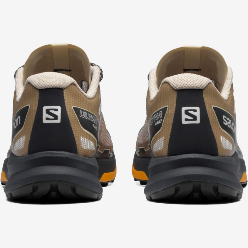 Zapatillas Salomon ULTRA RAID Hombre Marrones Plateadas | UY 3405VRW