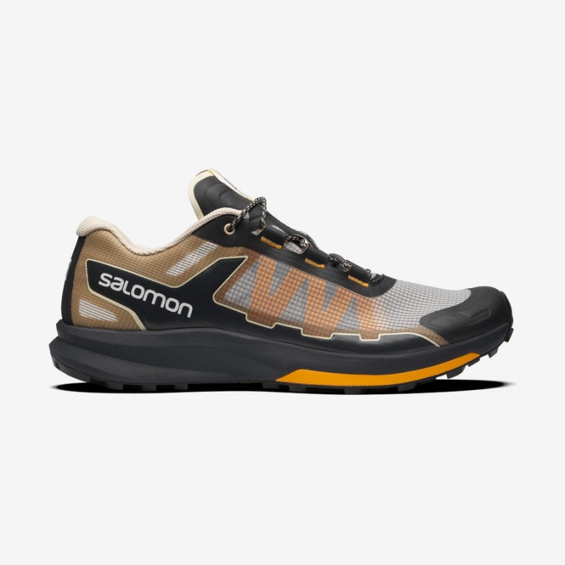 Zapatillas Salomon ULTRA RAID Hombre Marrones Plateadas | UY 3405VRW