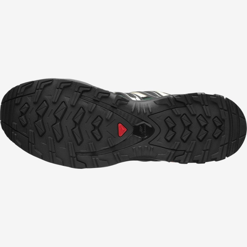 Zapatillas Salomon XA PRO 3D Hombre Negras | UY 3437RVD