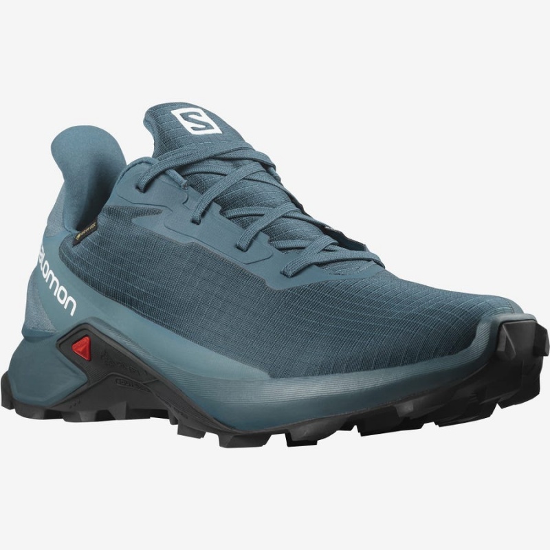 Zapatillas Trail Running Salomon ALPHACROSS 3 GORE-TEX Hombre Azules | UY 3538QMA