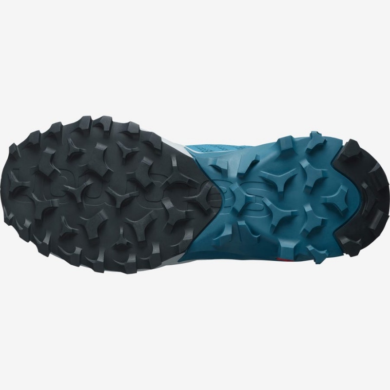 Zapatillas Trail Running Salomon MADCROSS Hombre Azules | UY 3533CTV