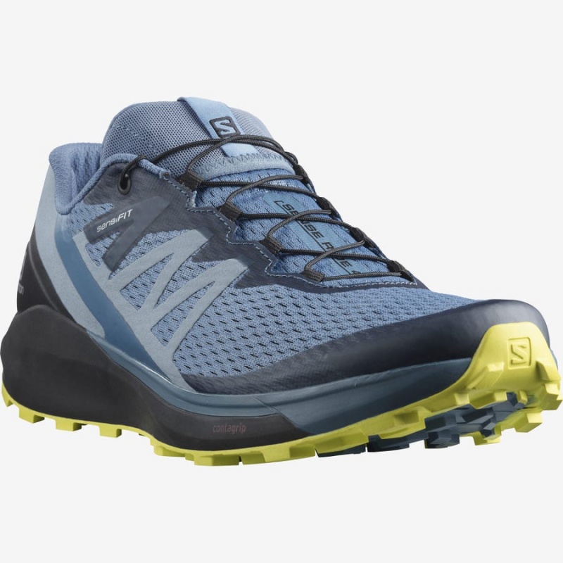 Zapatillas Trail Running Salomon SENSE RIDE 4 Hombre Gris | UY 3493ILH