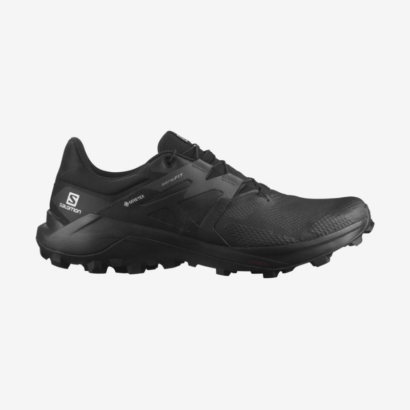 Zapatillas Trail Running Salomon WILDCROSS 2 GORE-TEX Hombre Negras | UY 3536NWY