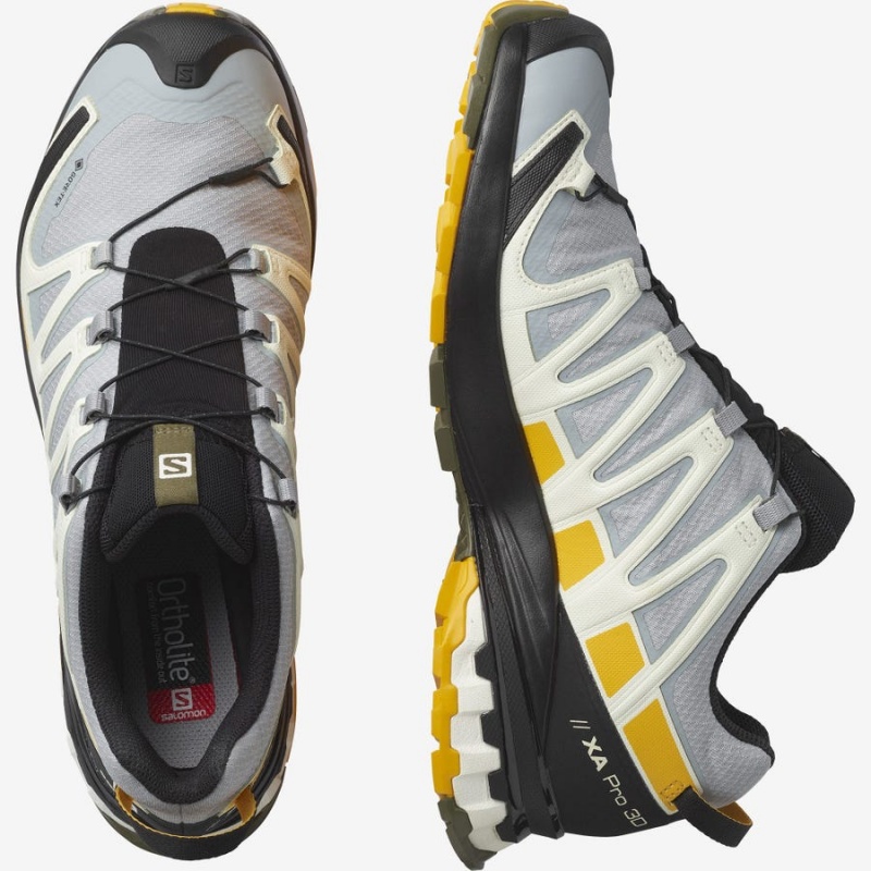 Zapatillas Trail Running Salomon XA PRO 3D v8 GORE-TEX Hombre Negras Gris | UY 3506ZUT