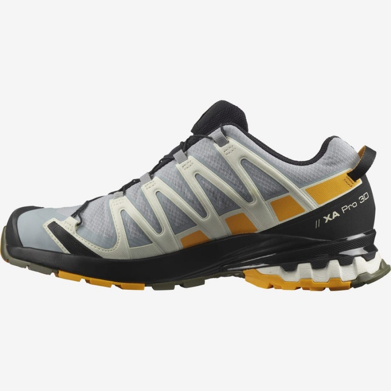 Zapatillas Trail Running Salomon XA PRO 3D v8 GORE-TEX Hombre Negras Gris | UY 3506ZUT