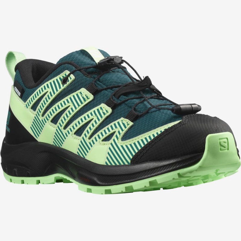 Zapatillas Trail Running Salomon XA PRO V8 CLIMASALOMON™ WATERPROOF Niños Verde | UY 2021OKI