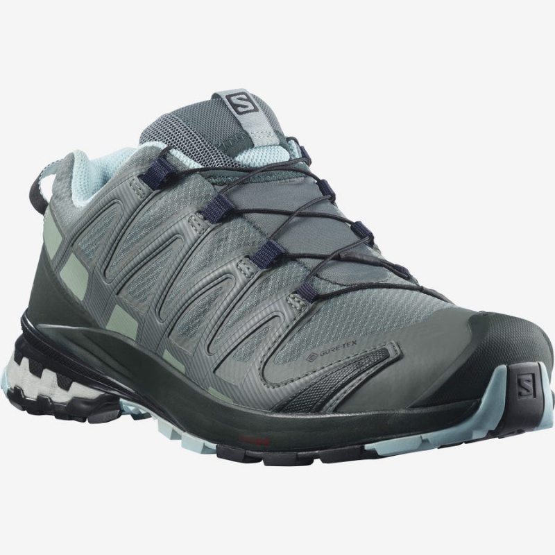 Zapatillas Trail Running Salomon XA PRO 3D v8 GORE-TEX Mujer Gris | UY 2765ILH