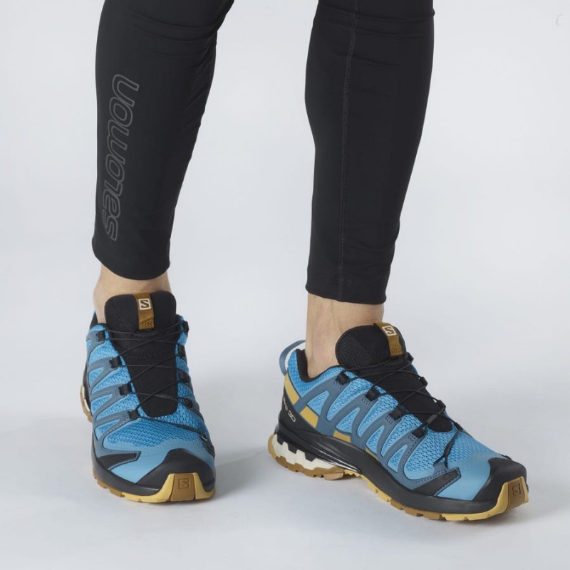 Zapatillas Trail Running Salomon XA PRO 3D v8 Hombre Azules | UY 3527HAP