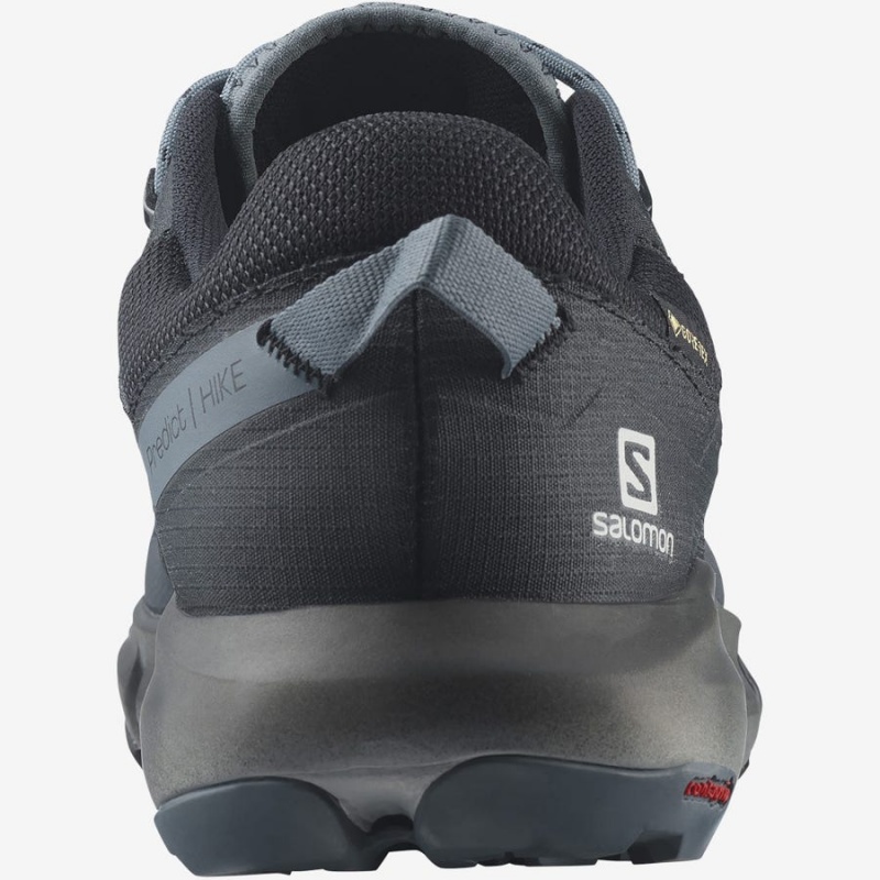 Zapatillas de Senderismo Salomon PREDICT HIKE GORE-TEX Hombre Gris Negras | UY 3551DFM