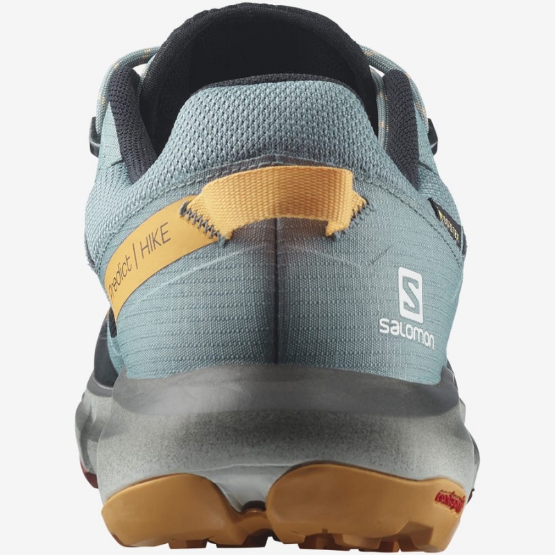 Zapatillas de Senderismo Salomon PREDICT HIKE GORE-TEX Hombre Negras Naranjas | UY 3550SGL