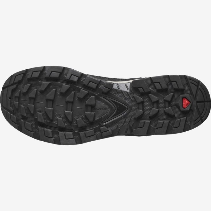 Zapatillas de Senderismo Salomon QUEST ELEMENT GORE-TEX Hombre Gris Rojas | UY 3548AHK