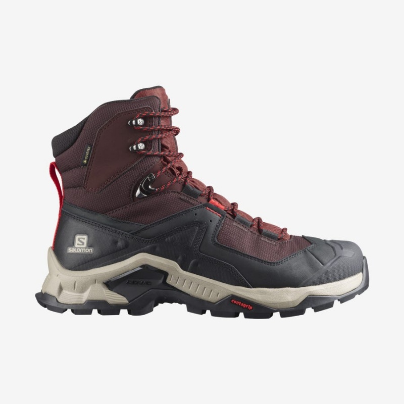 Zapatillas de Senderismo Salomon QUEST ELEMENT GORE-TEX Hombre Gris Rojas | UY 3548AHK