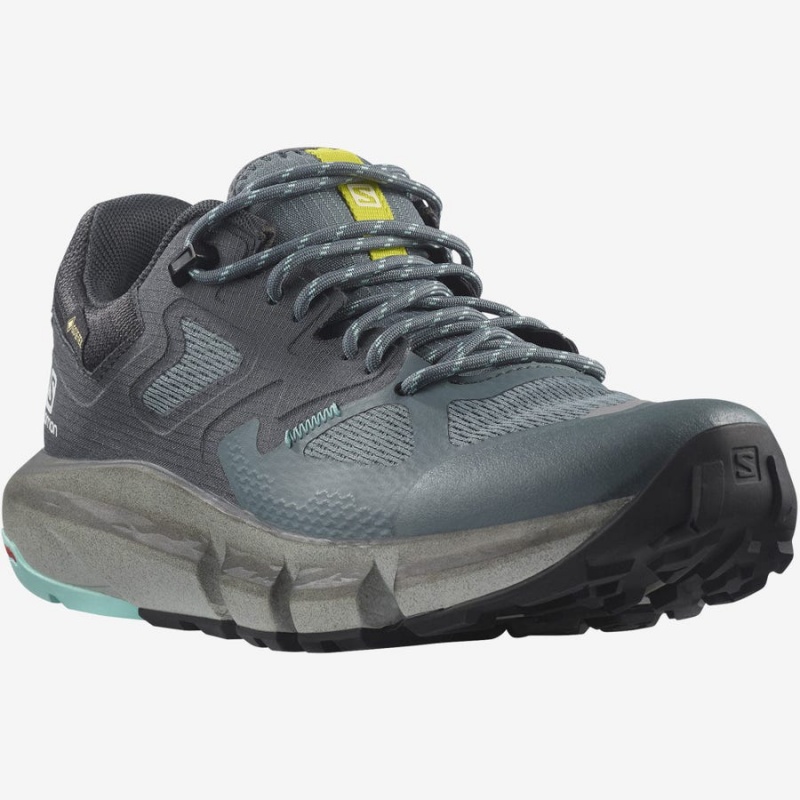 Zapatillas de Senderismo Salomon WoPREDICT HIKE GORE-TEX Mujer Plateadas | UY 2789DFM