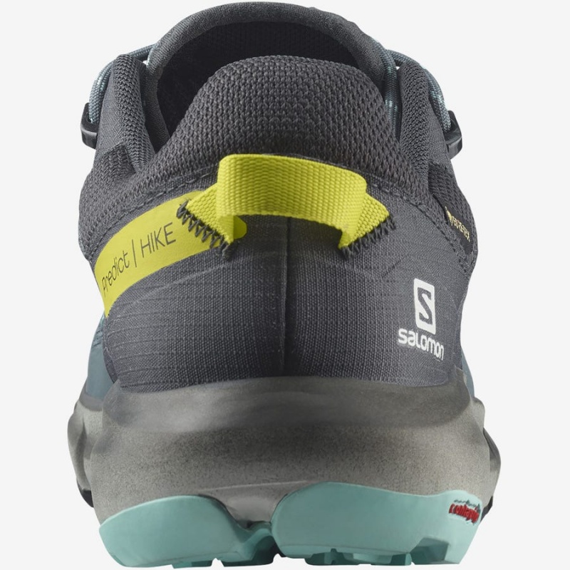 Zapatillas de Senderismo Salomon WoPREDICT HIKE GORE-TEX Mujer Plateadas | UY 2789DFM