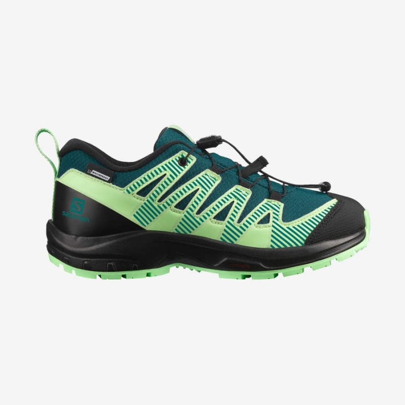 Zapatillas de Senderismo Salomon XA PRO V8 CLIMASALOMON™ WATERPROOF Niños Verde | UY 2037NWY