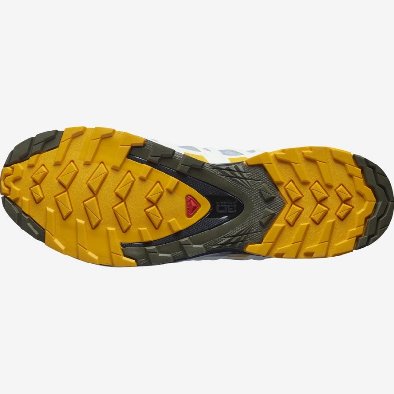 Zapatillas de Senderismo Salomon XA PRO 3D v8 GORE-TEX Hombre Plateadas | UY 3585CTV